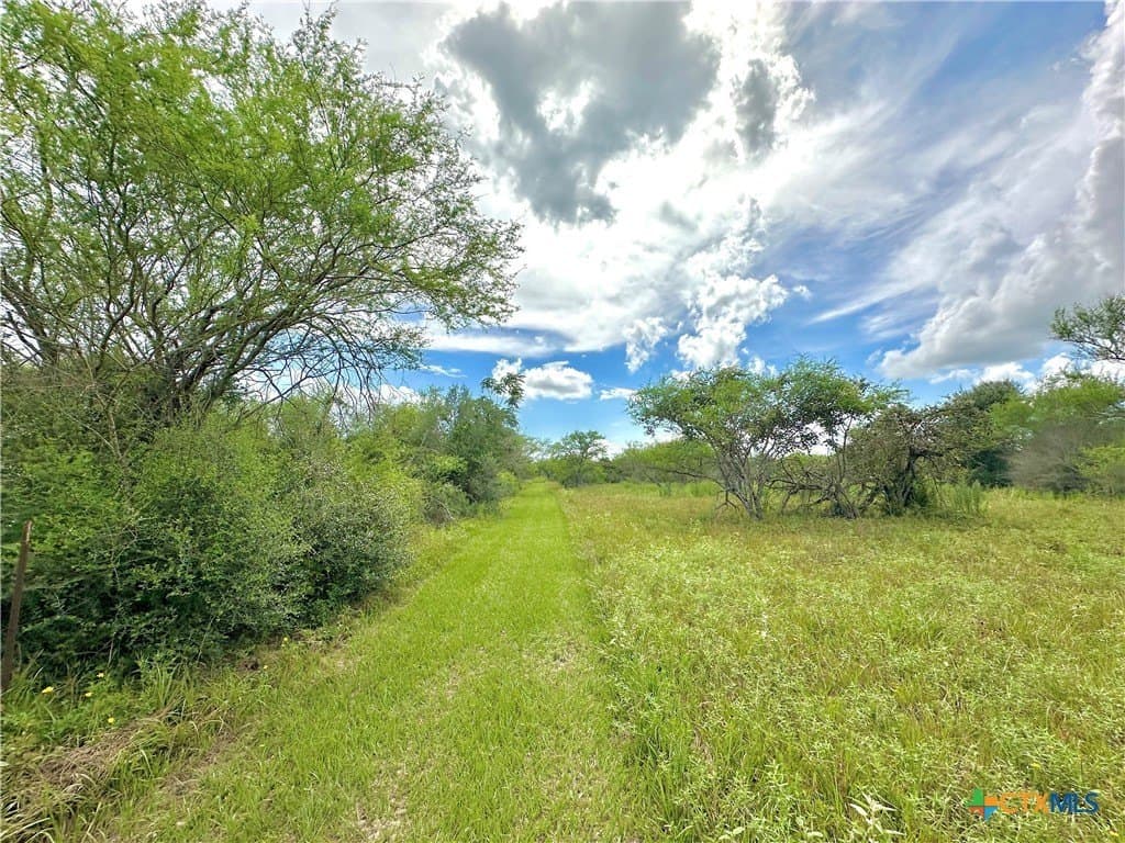 77.55 acres in Victoria County - photo 34