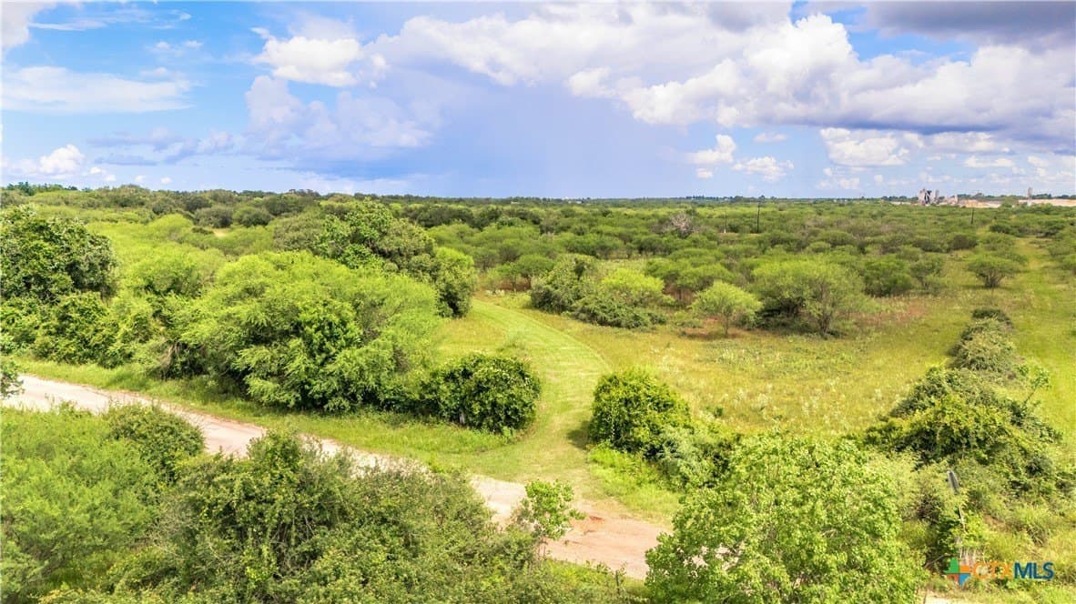 77.55 acres in Victoria County - photo 38