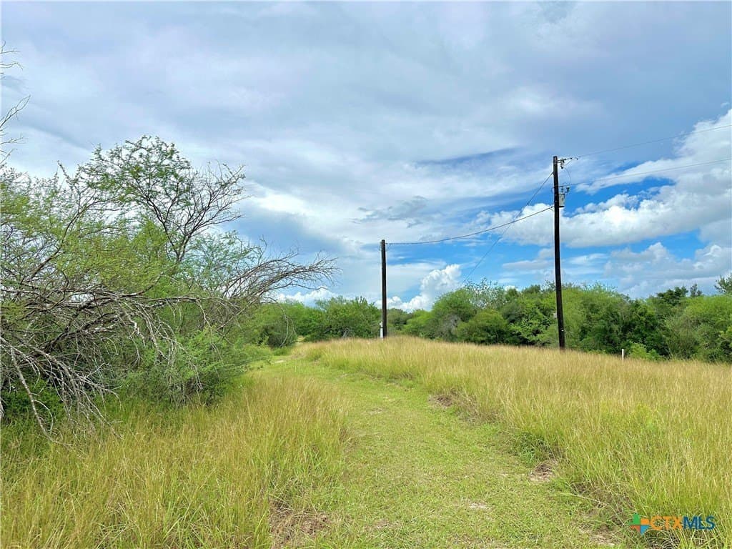77.55 acres in Victoria County - photo 25