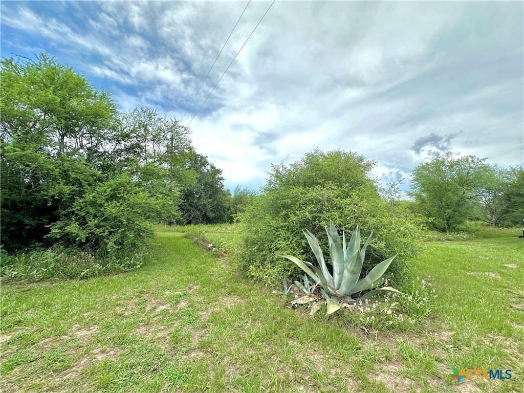 77.55 acres in Victoria County - photo 20
