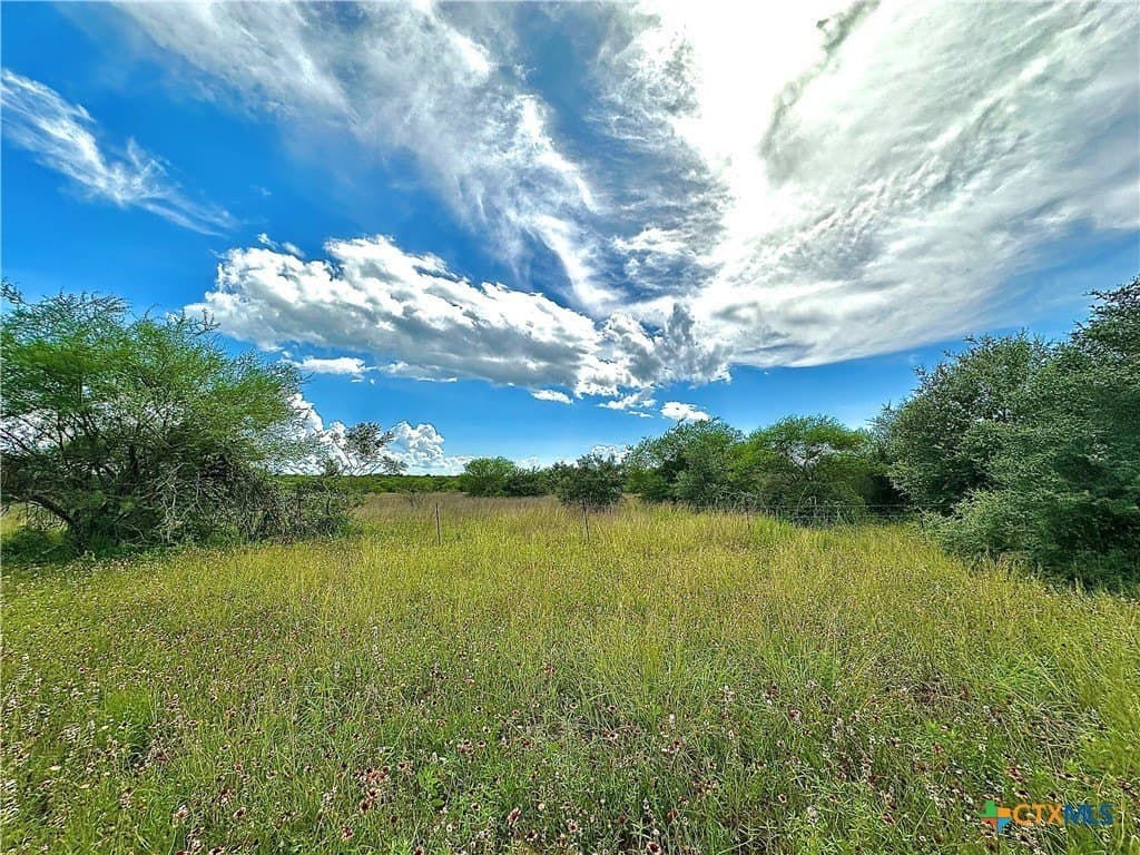 77.55 acres in Victoria County - photo 14
