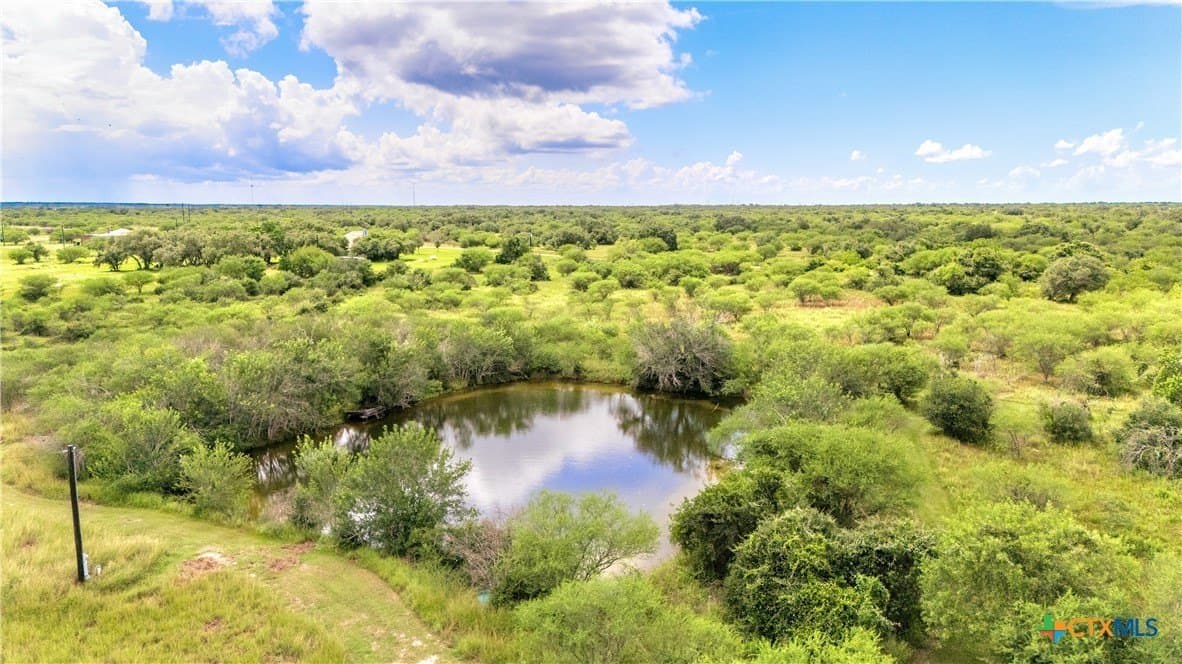 77.55 acres in Victoria County - photo 5