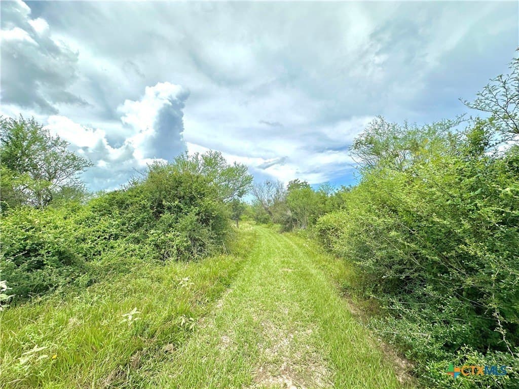 77.55 acres in Victoria County - photo 32