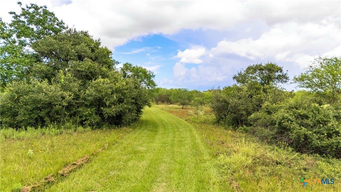 77.55 acres in Victoria County - photo 36