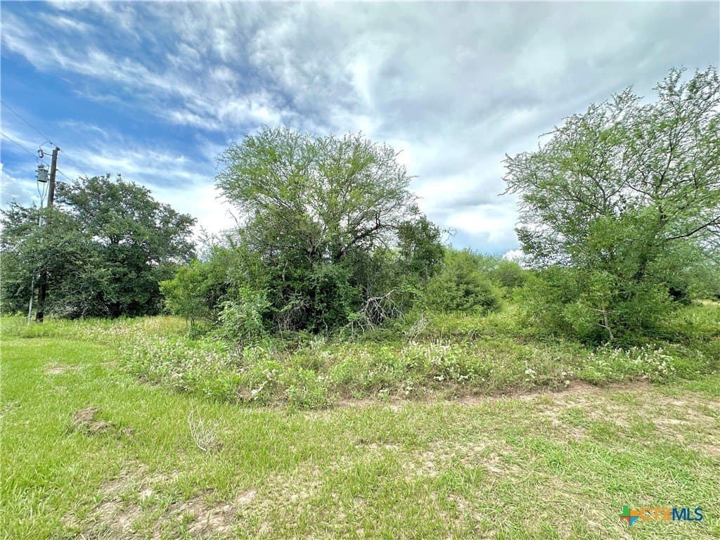 77.55 acres in Victoria County - photo 19