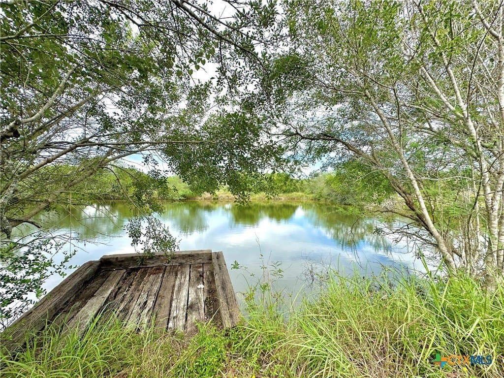 77.55 acres in Victoria County - photo 9
