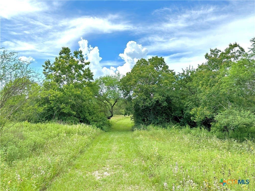 77.55 acres in Victoria County - photo 23