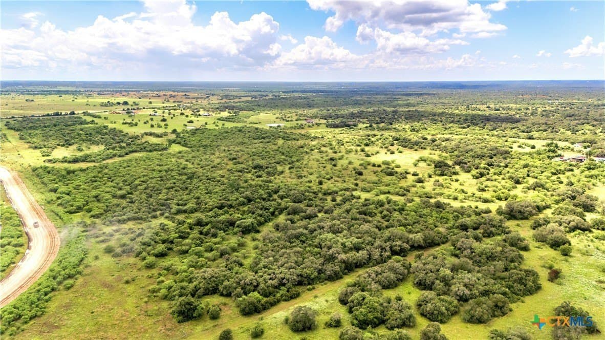 77.55 acres in Victoria County - photo 11