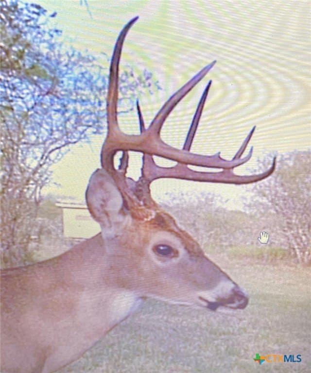 77.55 acres in Victoria County - photo 44