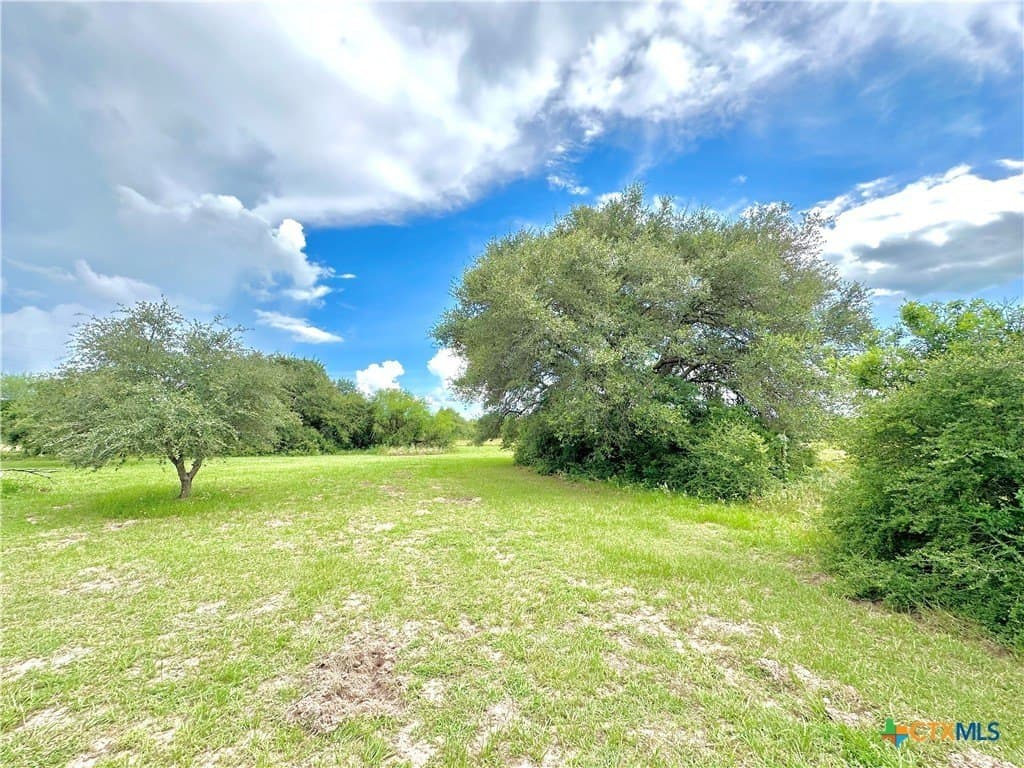 77.55 acres in Victoria County - photo 17