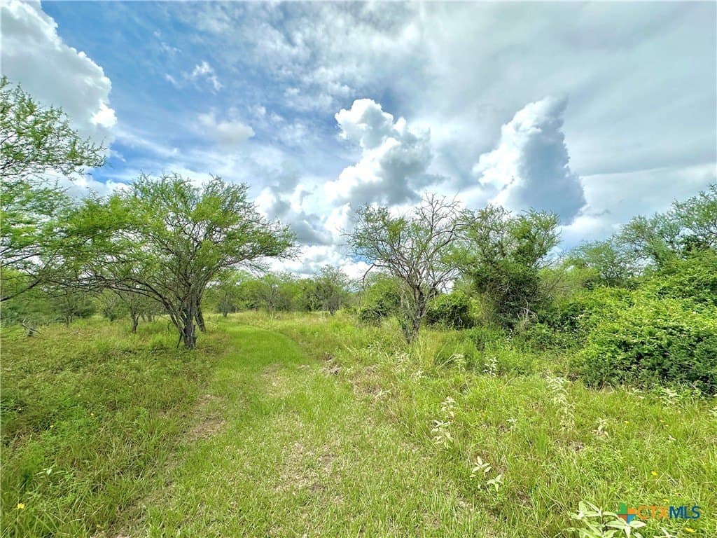 77.55 acres in Victoria County - photo 33