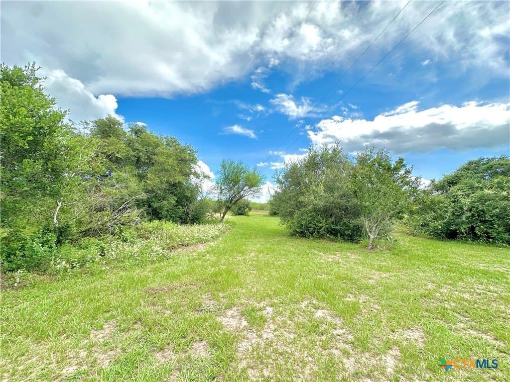 77.55 acres in Victoria County - photo 18