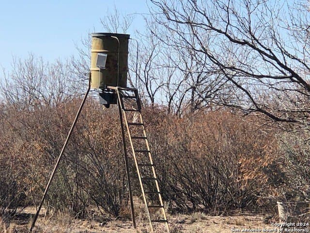 20 acres in La Salle County - photo 7