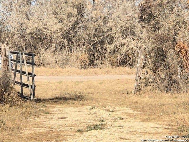 20 acres in La Salle County - photo 2