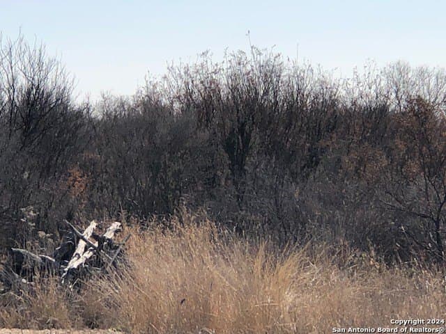 20 acres in La Salle County - photo 8