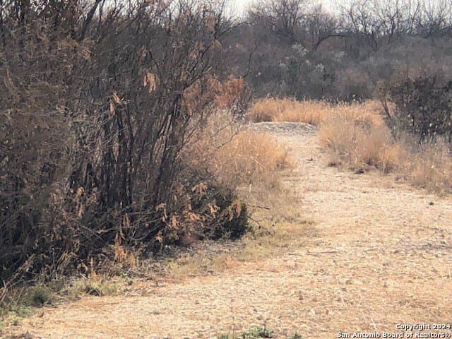 20 acres in La Salle County - photo 3
