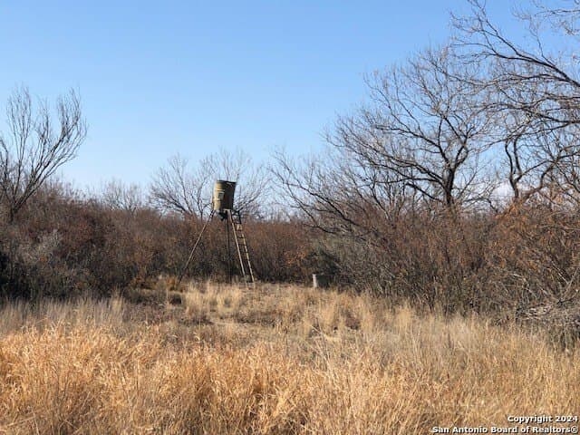 20 acres in La Salle County - photo 6
