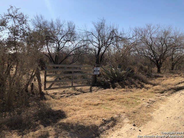 20 acres in La Salle County - photo 4