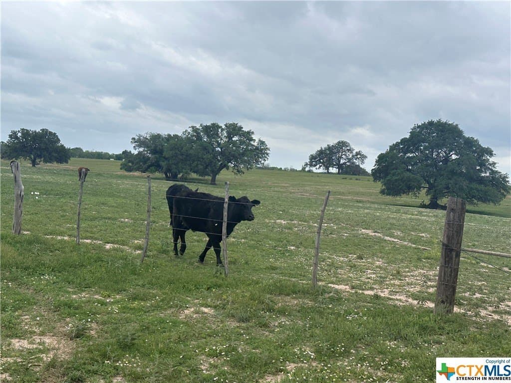 13.96 acres in Atascosa County - photo 7