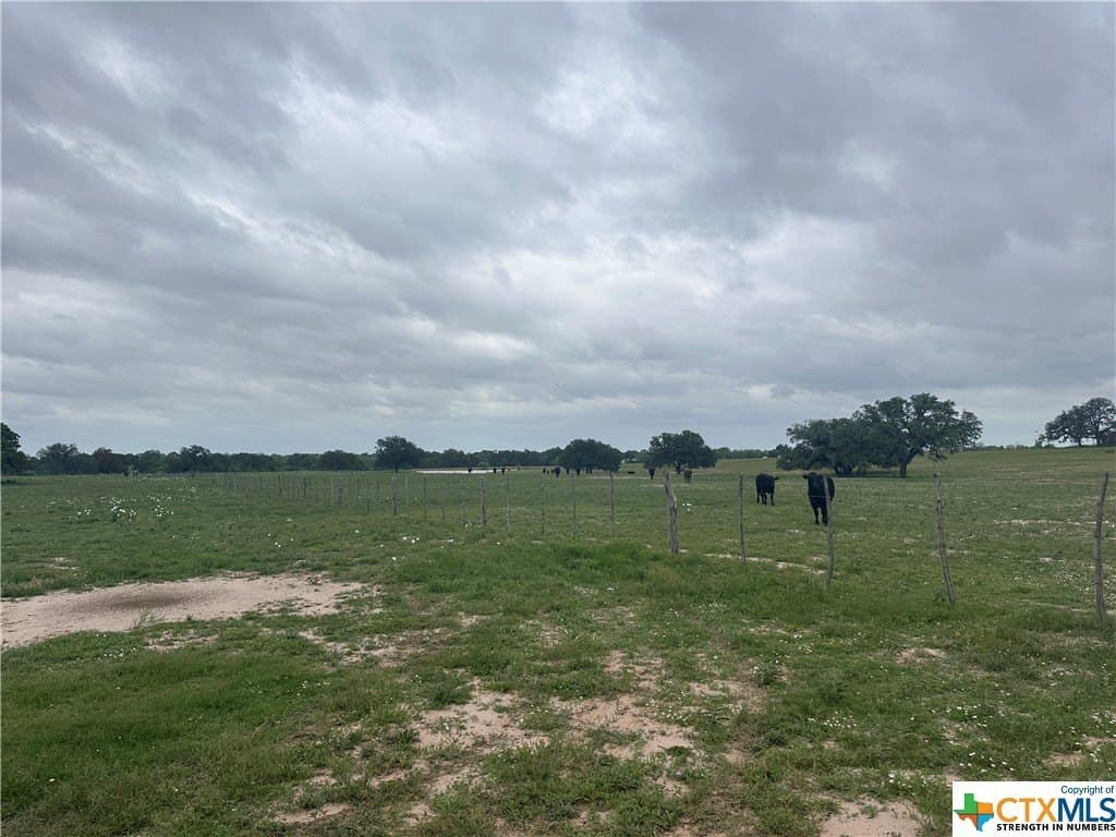 13.96 acres in Atascosa County - photo 5