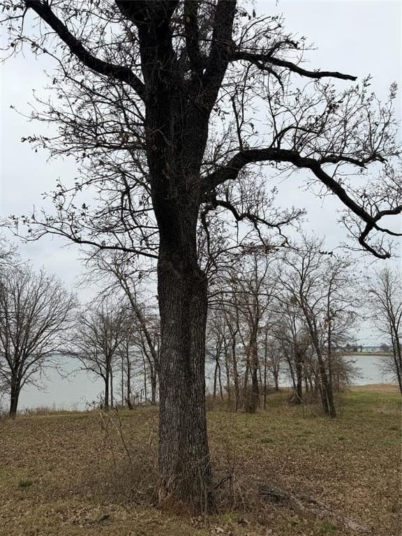 1.02 acres in Navarro County - photo 4