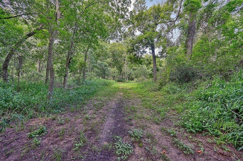 13.6 acres in Waller County - photo 27