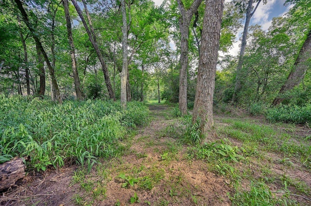 13.6 acres in Waller County - photo 28