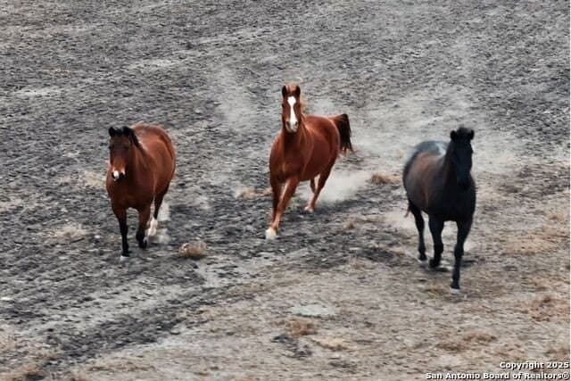 102 acres in Lampasas County - photo 4