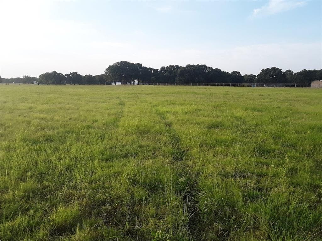 9.95 acres in Grayson County - photo 3