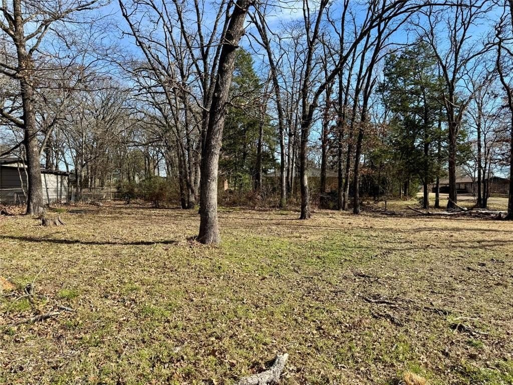 0.27 acres in Van Zandt County - photo 2
