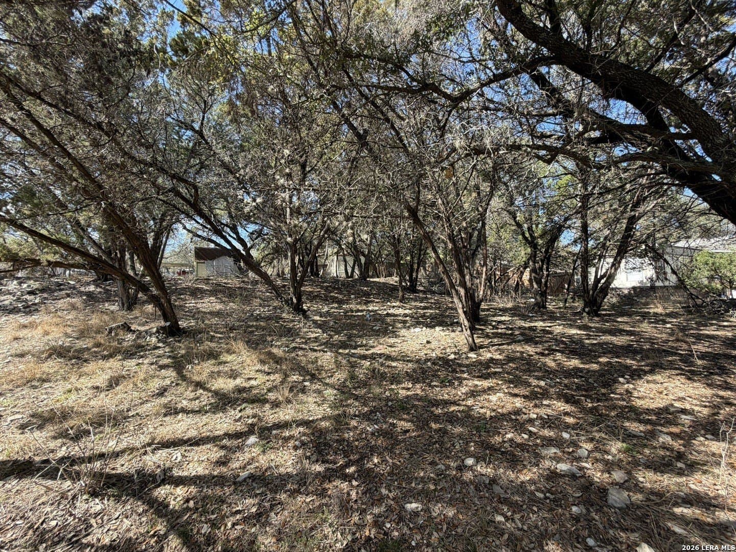 0.23 acres in Comal County - photo 3