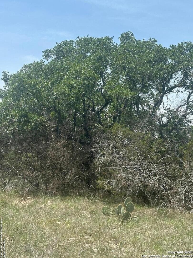 41 acres in Edwards County - photo 28