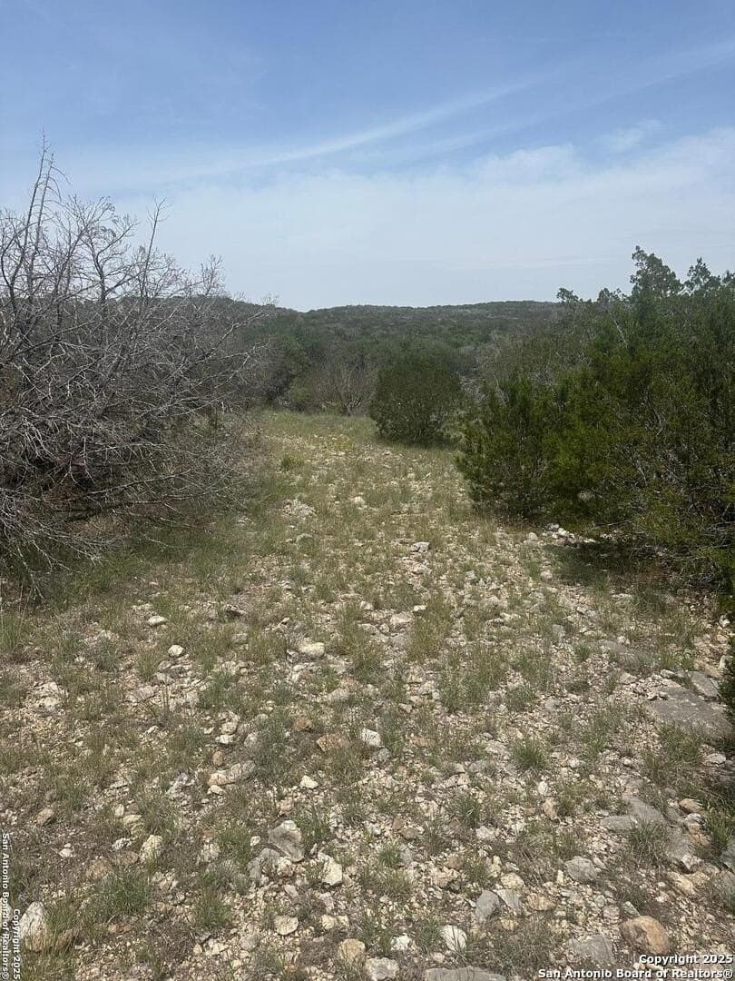 41 acres in Edwards County - photo 25