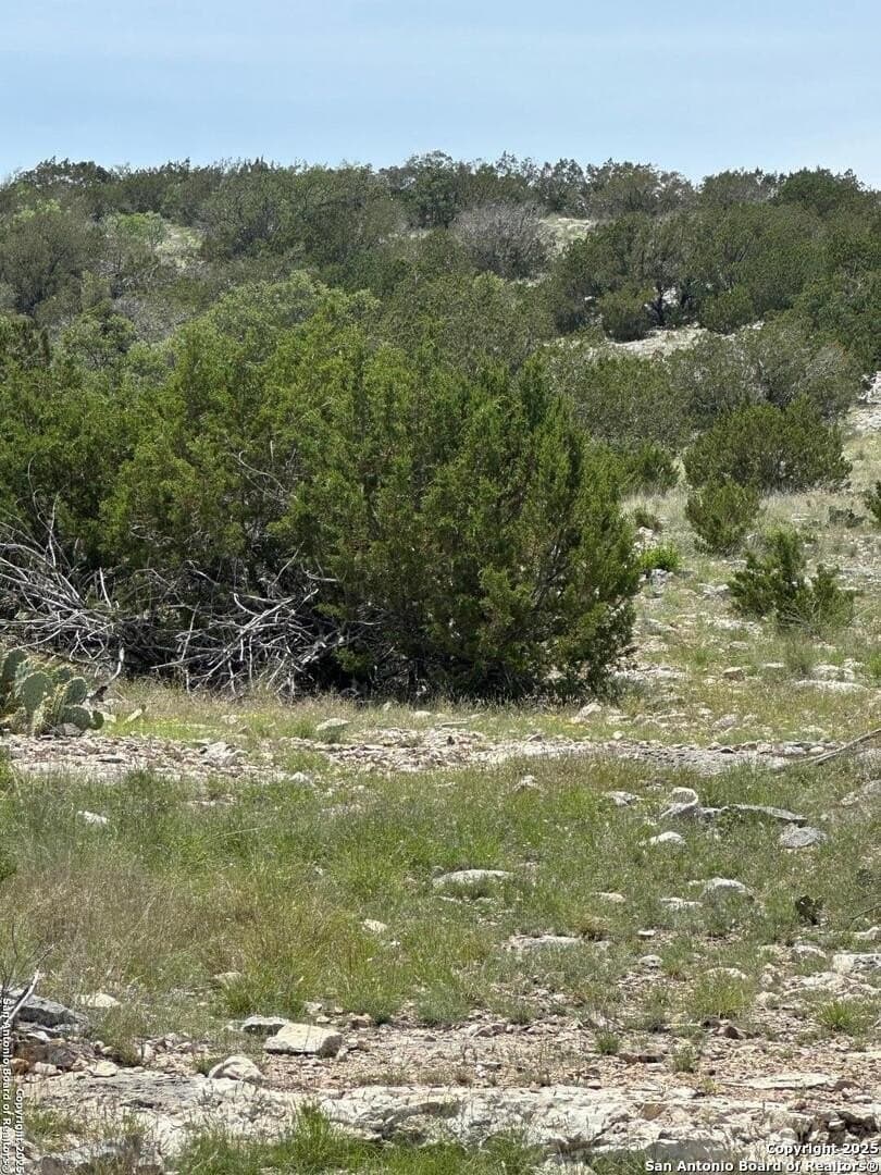 41 acres in Edwards County - photo 41