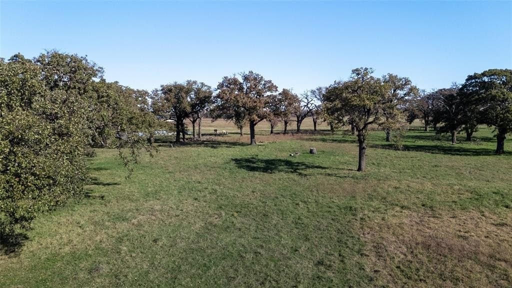 20 acres in Kaufman County - photo 14