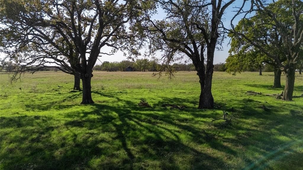 20 acres in Kaufman County - photo 4