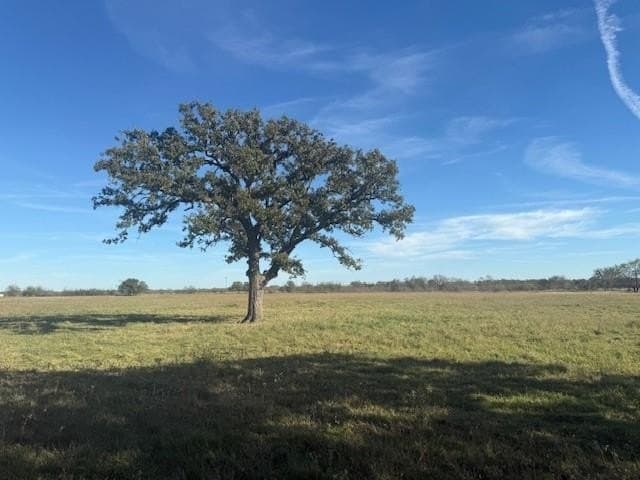 20 acres in Kaufman County - photo 8