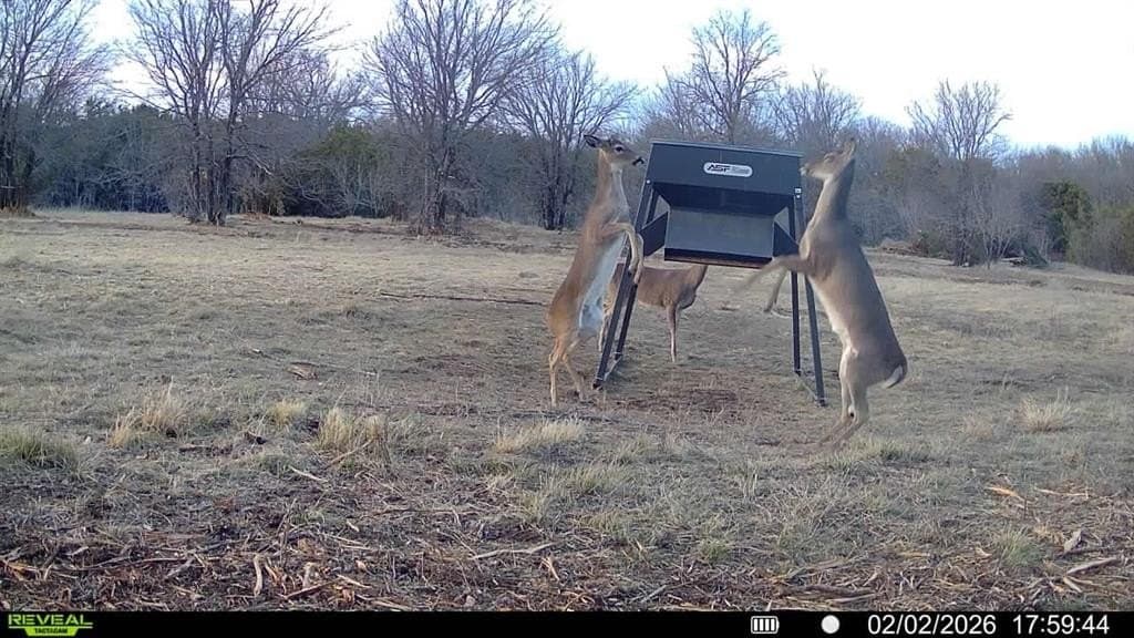 140.85 acres in Erath County - photo 2