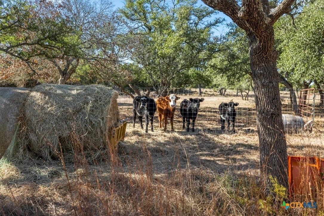 28.6 acres in Blanco County - photo 44