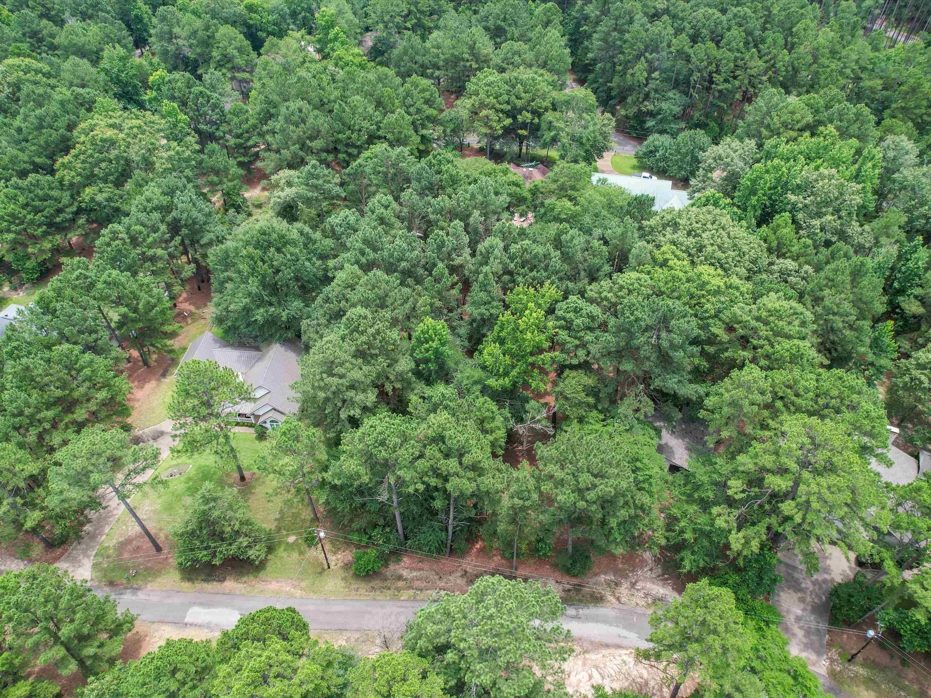 0.45 acres in Wood County - photo 4