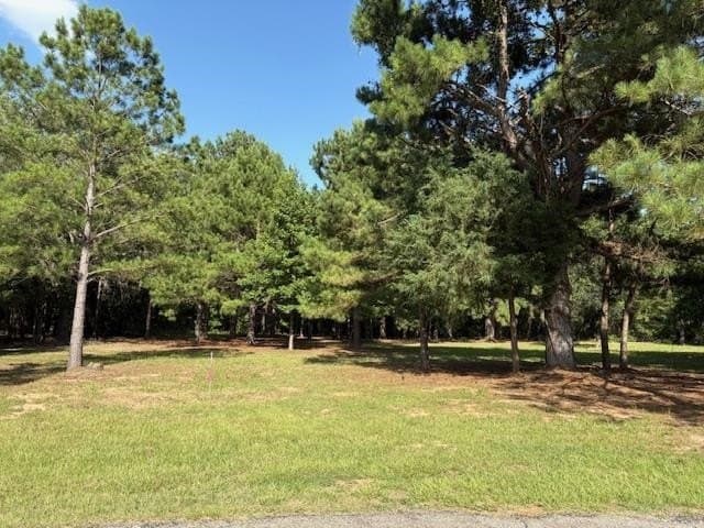 0.45 acres in Wood County - photo 2