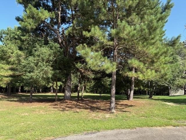 0.45 acres in Wood County - photo 3