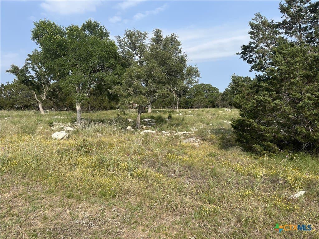1.59 acres in Comal County - photo 8