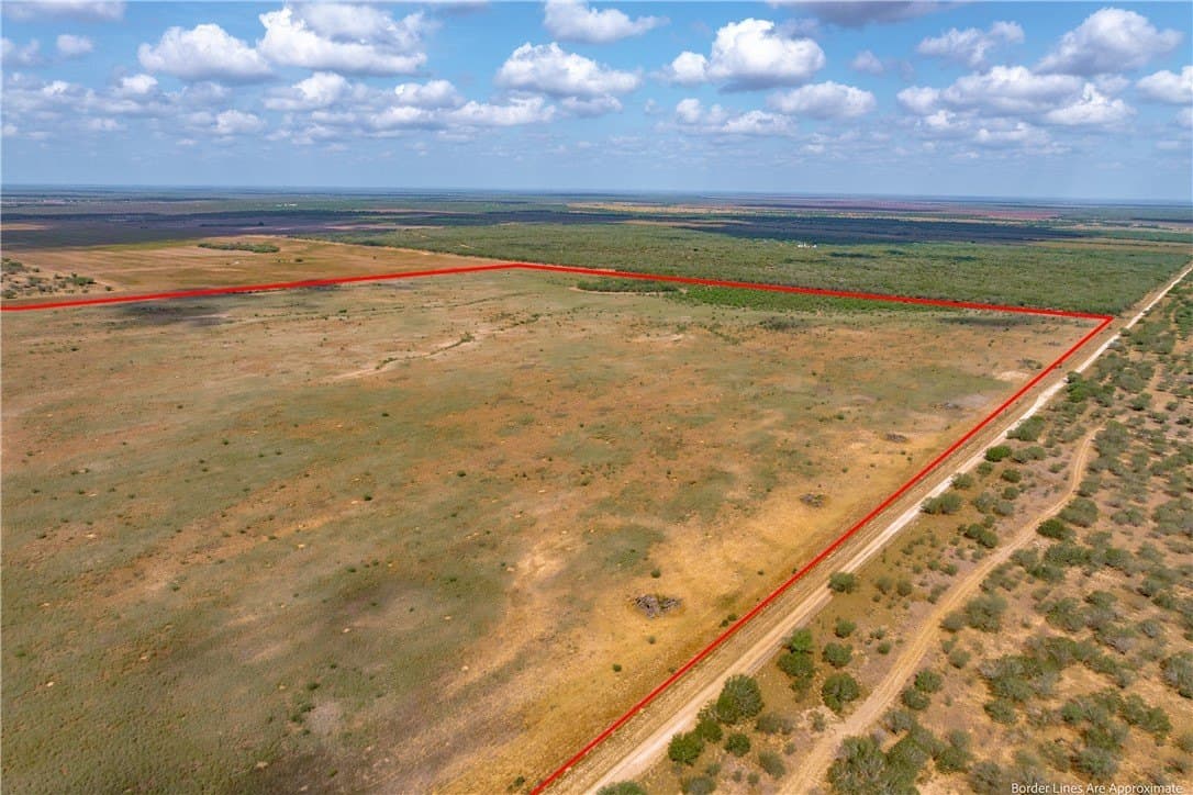200.9 acres in Jim Wells County - photo 4