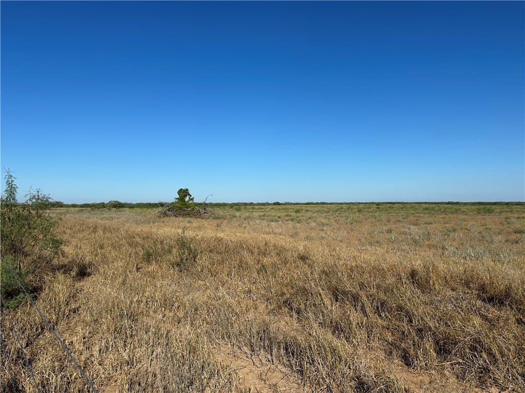 200.9 acres in Jim Wells County - photo 15