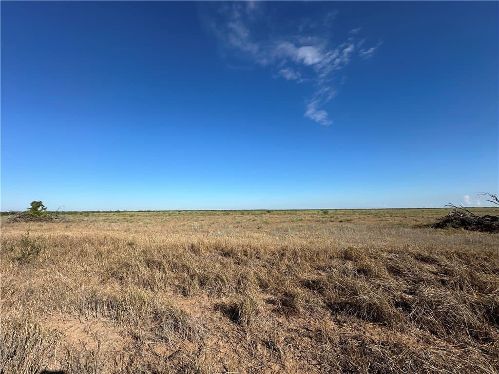 200.9 acres in Jim Wells County - photo 13