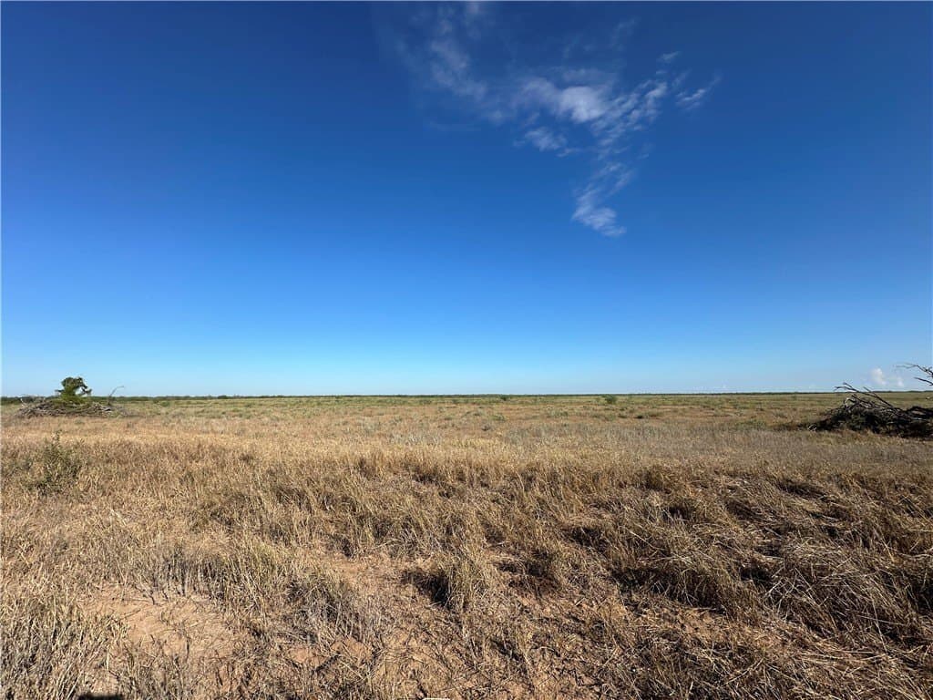 200.9 acres in Jim Wells County - photo 12