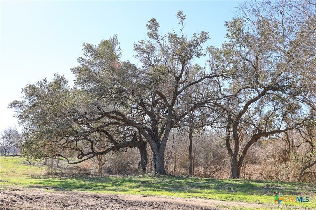 1.88 acres in Lavaca County - photo 4