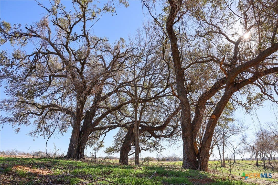 1.88 acres in Lavaca County - photo 2