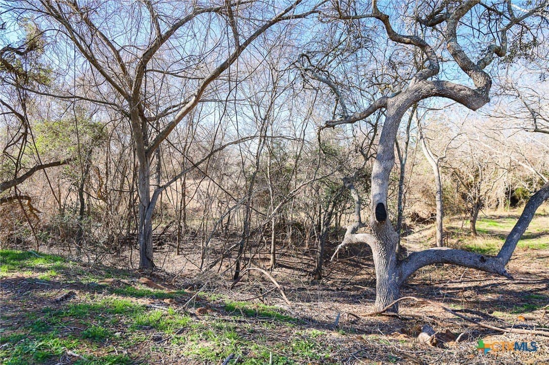 1.88 acres in Lavaca County - photo 3